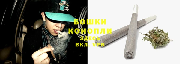 мдпв Осинники