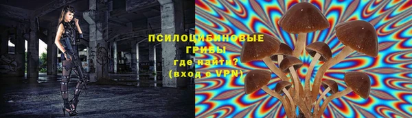 кокс Осташков
