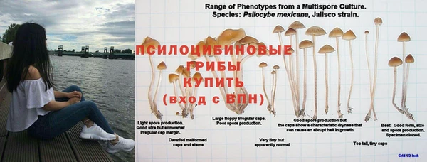 молекула духа Баксан