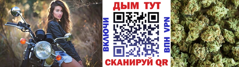 Каннабис сатива  shop официальный сайт  Лыткарино  купить наркотики цена 